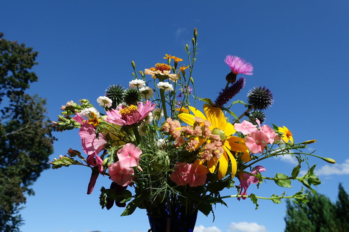 Fargerik blomsterbukett mot blå himmel