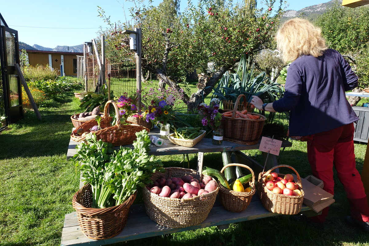 Salgsbord med grønnsaker og blomster i kurver