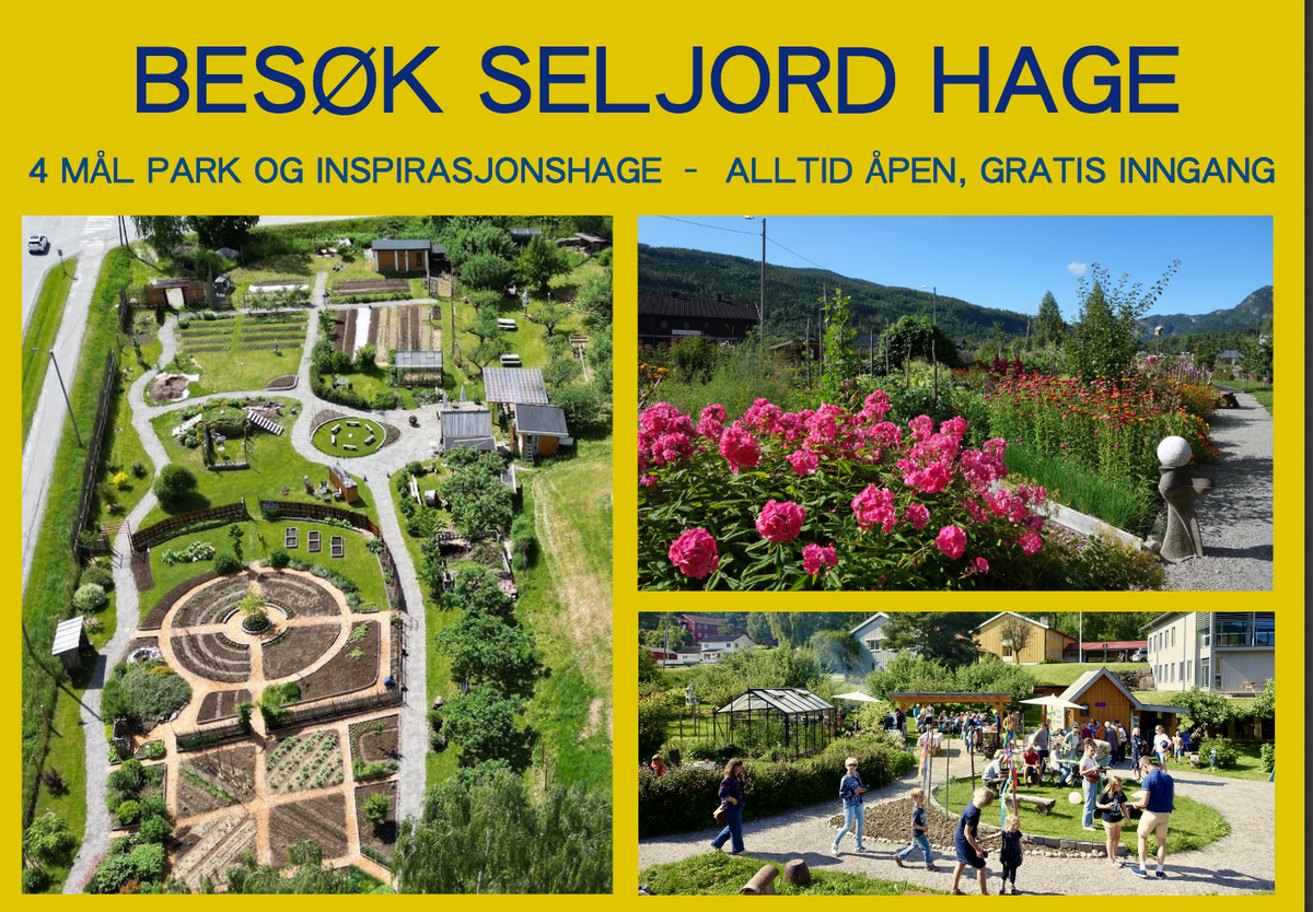Seljord Hage Økopark - Dronebilde