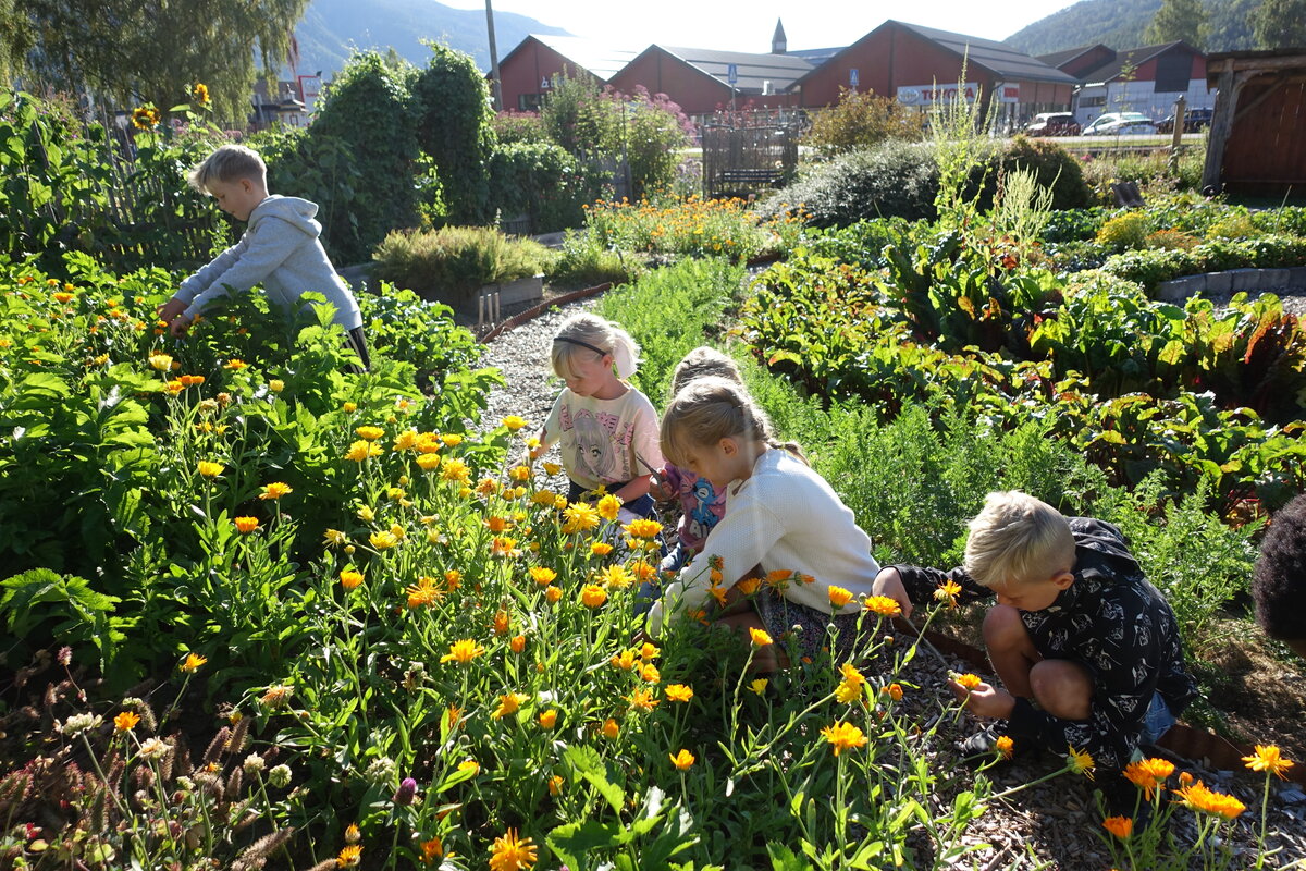 Barn arbeider i skolehagen med blomster