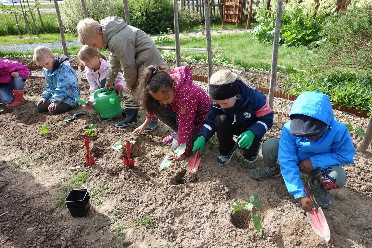 Barn planter sammen i skolehagen
